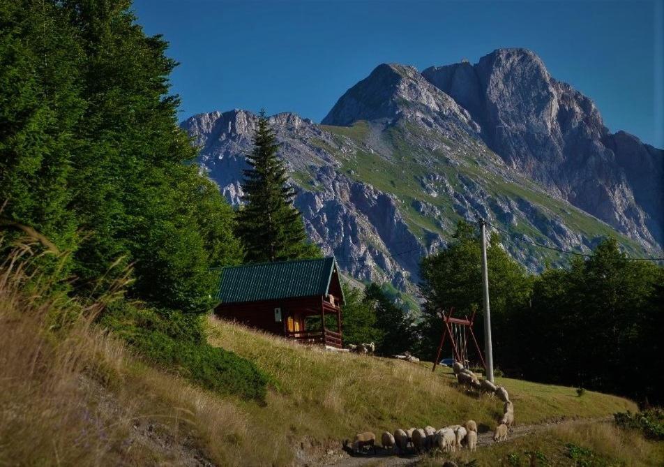 Mountain House Komovi-Radunovic Andrijevica Exterior foto